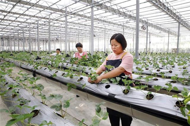 10423708547621860_124.jpg 10423708547621860_124.jpg