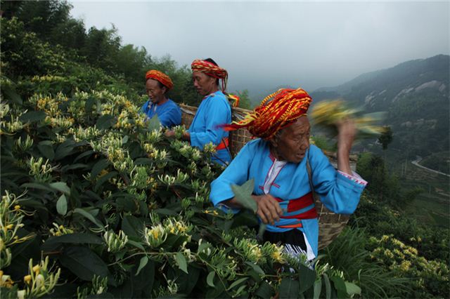 13051091913050646_84.jpg 13051091913050646_84.jpg