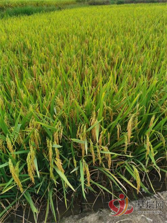 18441548611563880_92.png 18441548611563880_92.png