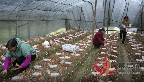 20551175816524849_92.png 20551175816524849_92.png