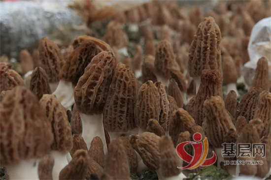 20553088375590441_92.png 20553088375590441_92.png