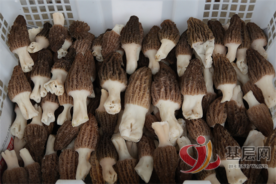 20564886828971710_92.png 20564886828971710_92.png