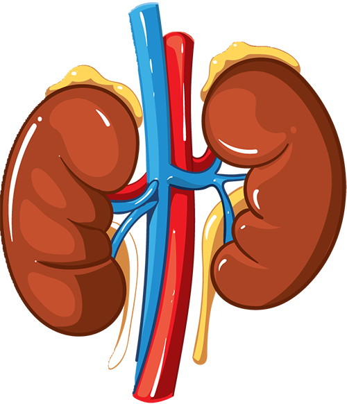 19190832439784921_103.png 19190832439784921_103.png