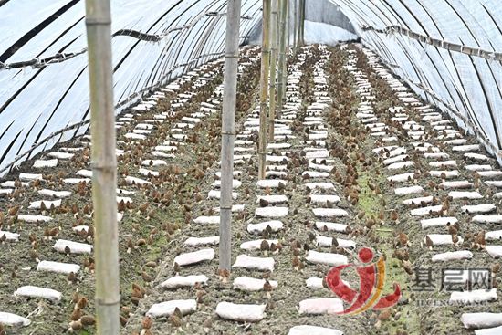 09522471279920707_92.jpg 09522471279920707_92.jpg