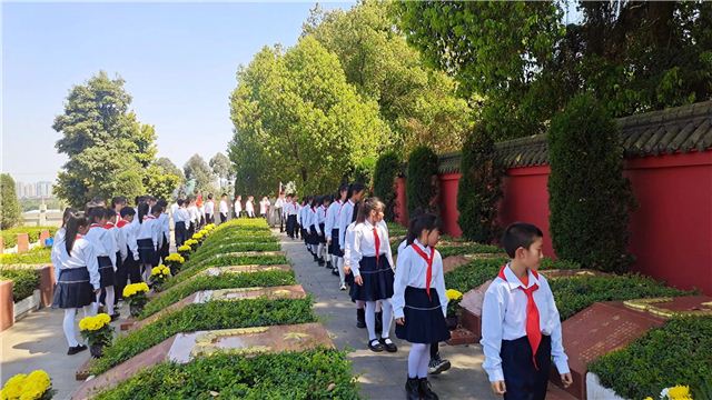 20531684792021429_110.jpg 20531684792021429_110.jpg