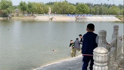 08543295011790930_133.jpg 08543295011790930_133.jpg