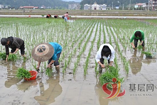 08383188518760951_92.jpg 08383188518760951_92.jpg