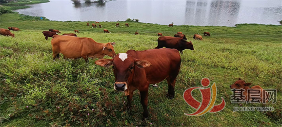 12435560447833856_92.png 12435560447833856_92.png