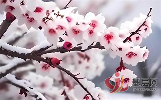 19370528635779947_92.jpg 19370528635779947_92.jpg