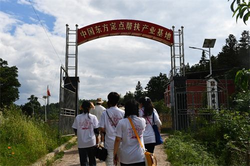 12170463529552002_7.jpg 12170463529552002_7.jpg