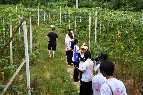 1217244317236807_7.jpg 1217244317236807_7.jpg