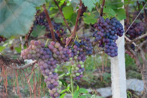 12181349382704906_7.jpg 12181349382704906_7.jpg