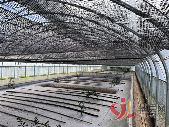 14404674764692284_92.png 14404674764692284_92.png