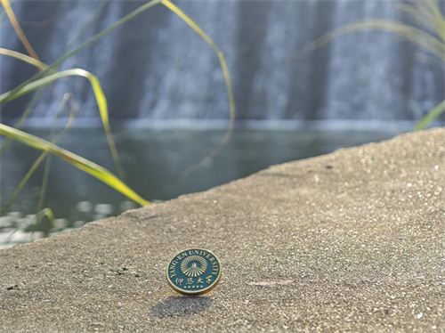 15154087884155688_7.jpg 15154087884155688_7.jpg