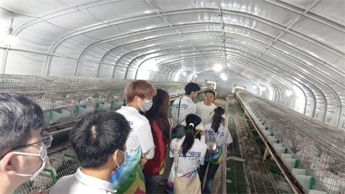 14433287334225066_7.jpg 14433287334225066_7.jpg