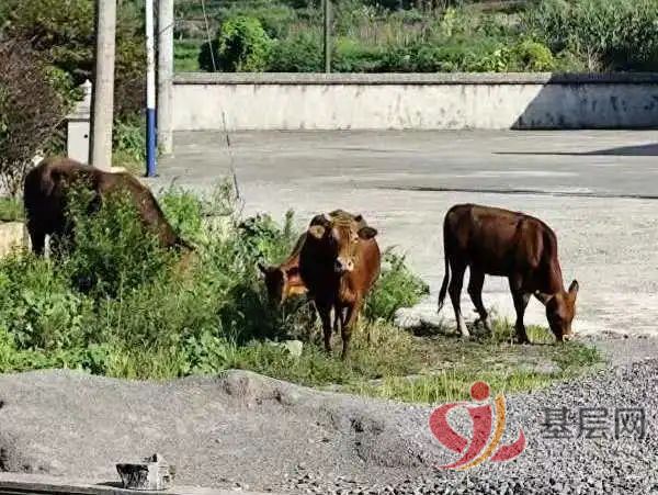 17505168806912604_75.jpg 17505168806912604_75.jpg