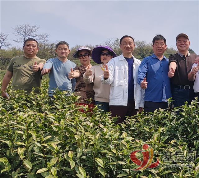 18060555323918077_75.jpg 18060555323918077_75.jpg