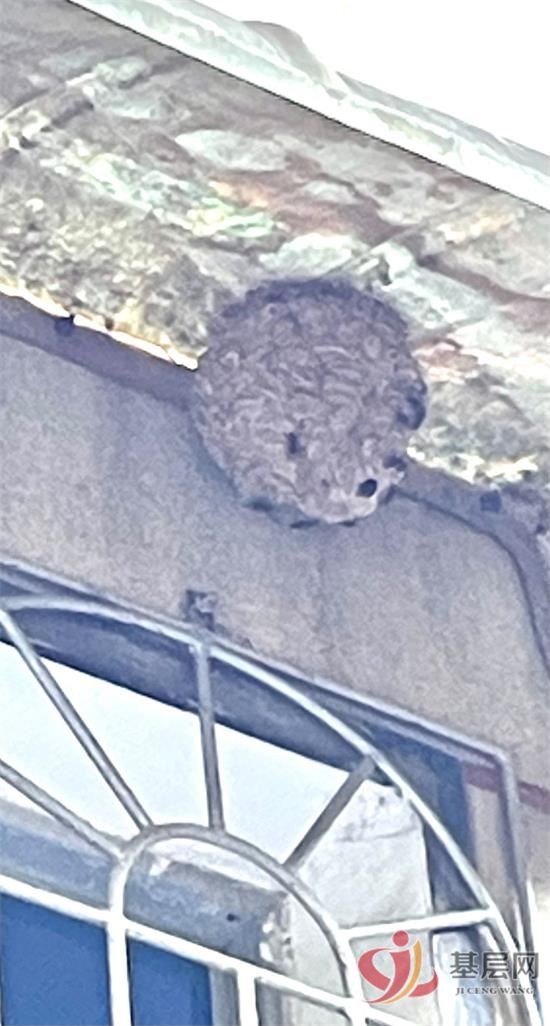 23042236594116019_92.jpg 23042236594116019_92.jpg