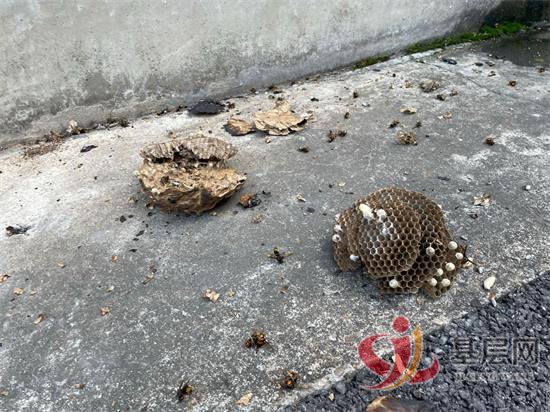 23053935209763636_92.jpg 23053935209763636_92.jpg