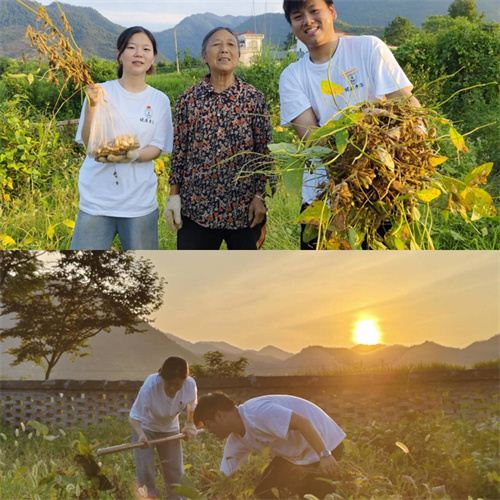 15372578341103572_7.jpg 15372578341103572_7.jpg