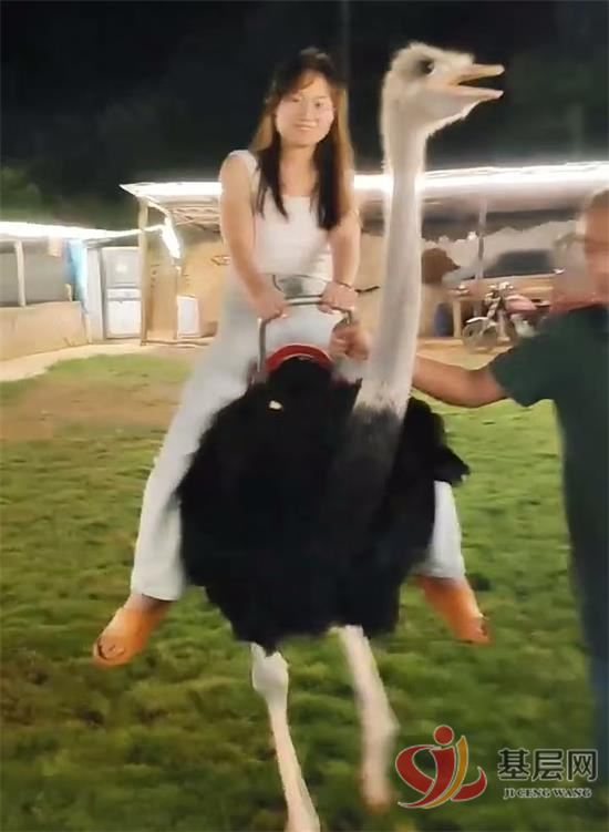 15531584593703718_92.jpg 15531584593703718_92.jpg