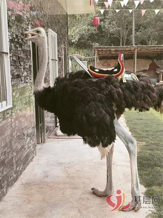 15582753451165515_92.jpg 15582753451165515_92.jpg