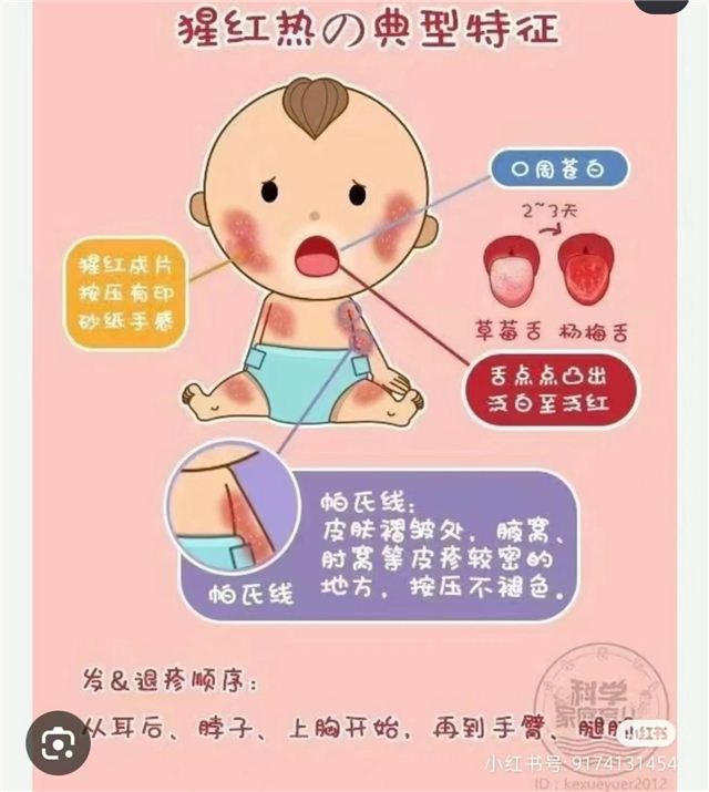 1824576390712459_103.jpg 1824576390712459_103.jpg