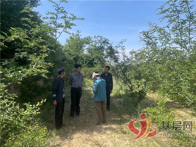 183558606370648_68.jpg 183558606370648_68.jpg