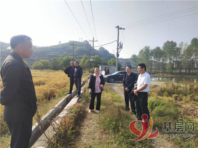 13095591025838006_137.jpg 13095591025838006_137.jpg