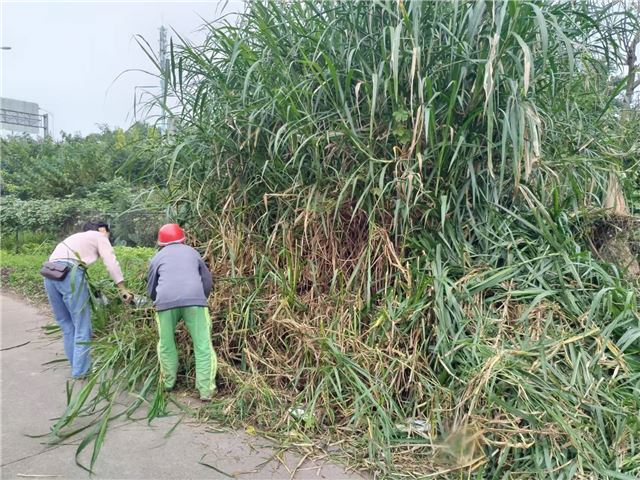 19454822674266727_106.jpg 19454822674266727_106.jpg