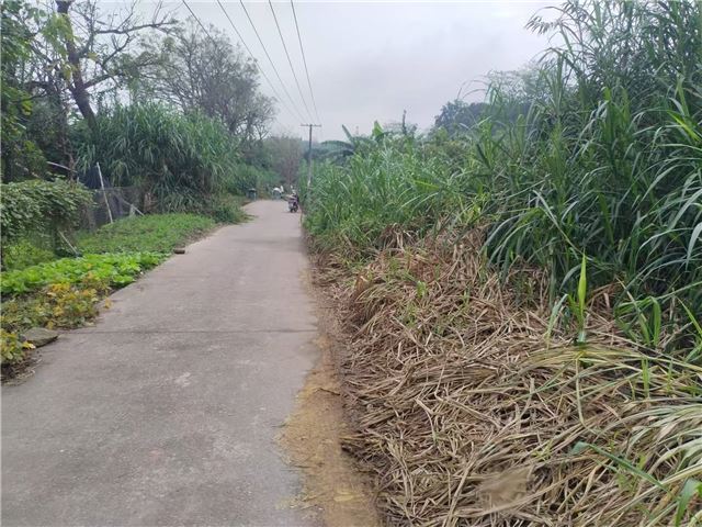 19455917845511389_106.jpg 19455917845511389_106.jpg