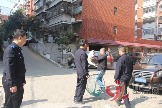 09502169409656686_92.png 09502169409656686_92.png