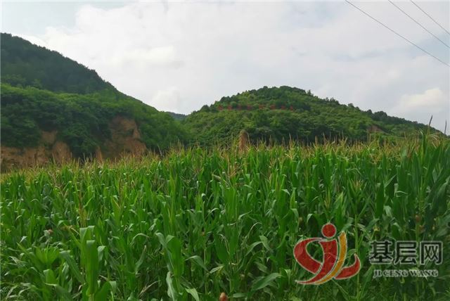 18375914557986044_68.jpg 18375914557986044_68.jpg