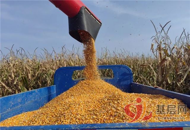 18382007403398330_68.jpg 18382007403398330_68.jpg