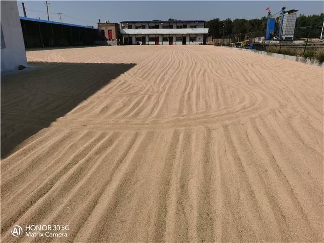 18542924076148047_130.jpg 18542924076148047_130.jpg