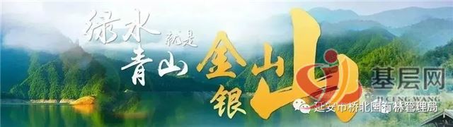 12200635534147869_68.jpg 12200635534147869_68.jpg